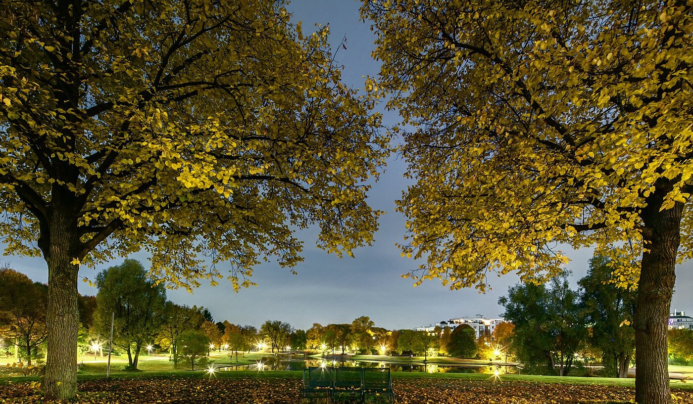 Flad med 1 Værelse | München-Sendling-Westpark | 2008ML1 | Abenddämmerung im Westpark