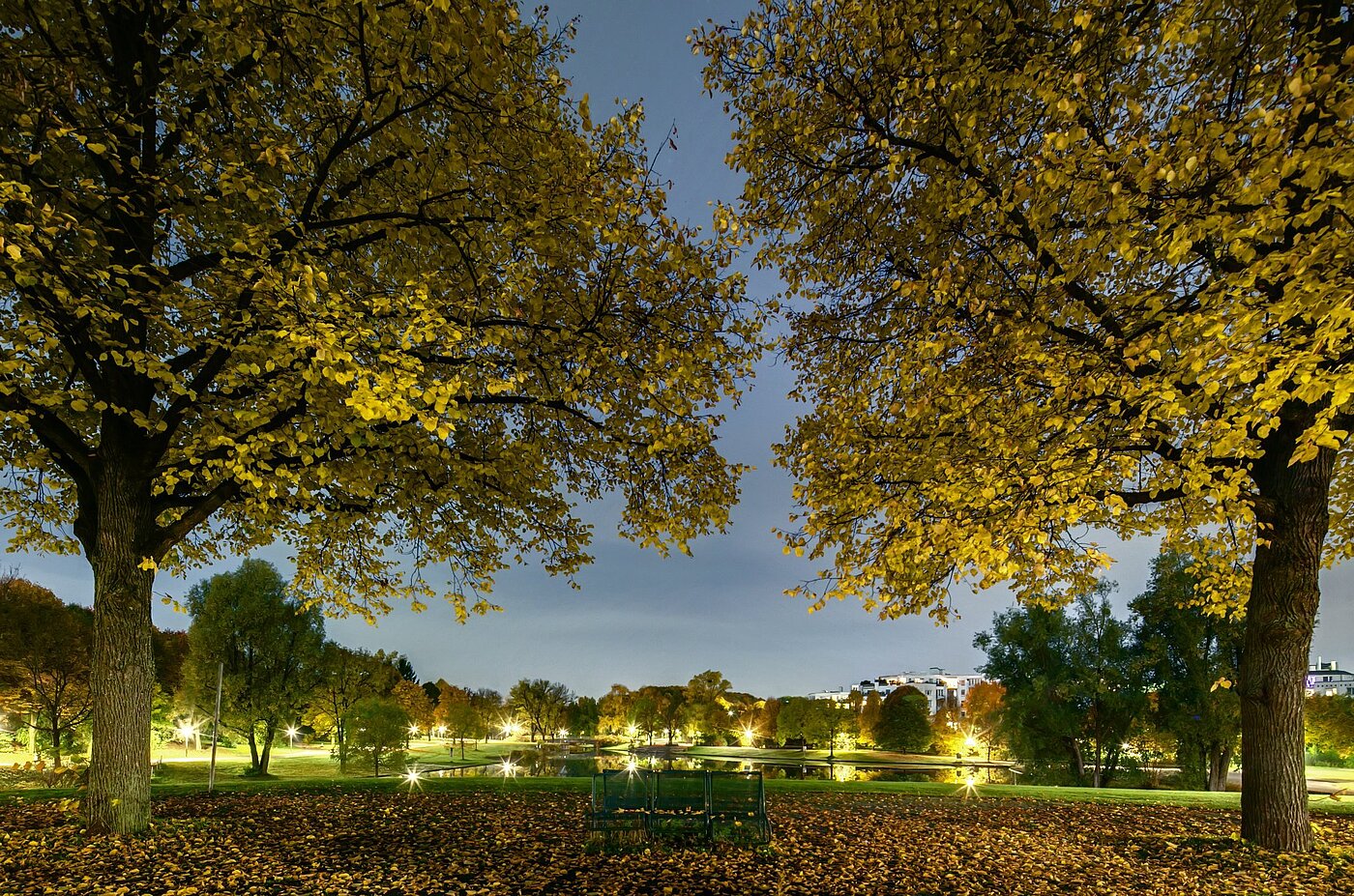 Ploché s 1 Pokoj | München-Sendling-Westpark | 2008ML1 | Abenddämmerung im Westpark