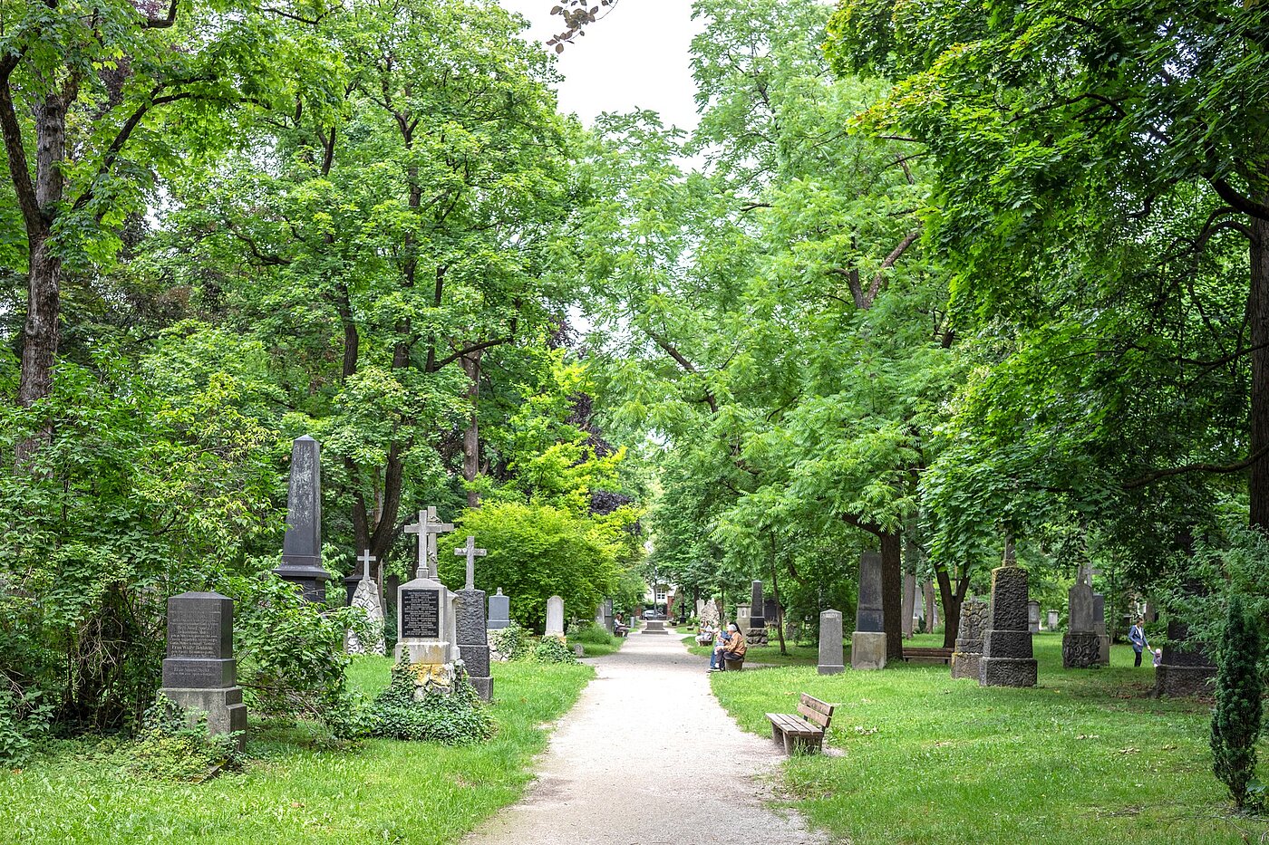 Plat cu 3 Camere | München-Maxvorstadt | 70133 | Alter Nordfriedhof