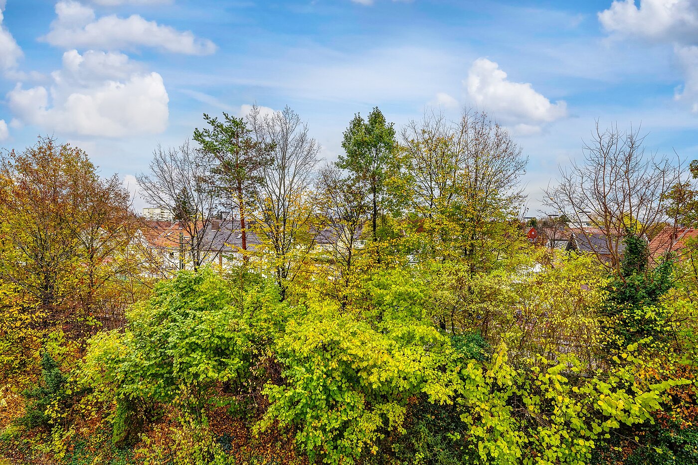 Ploché s 2 Pokoje | Germering | 70029 | ...grünen Aussichten