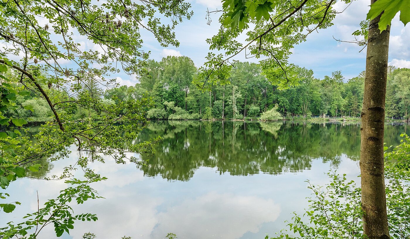 플랫 와 함께 2 객실 | Karlsfeld | 1906ML2 | Eichinger Weiher