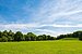 Apartment ile 1.5 Odalar | München-Neuhausen | 70179 | ...viel Natur | Thumbnail