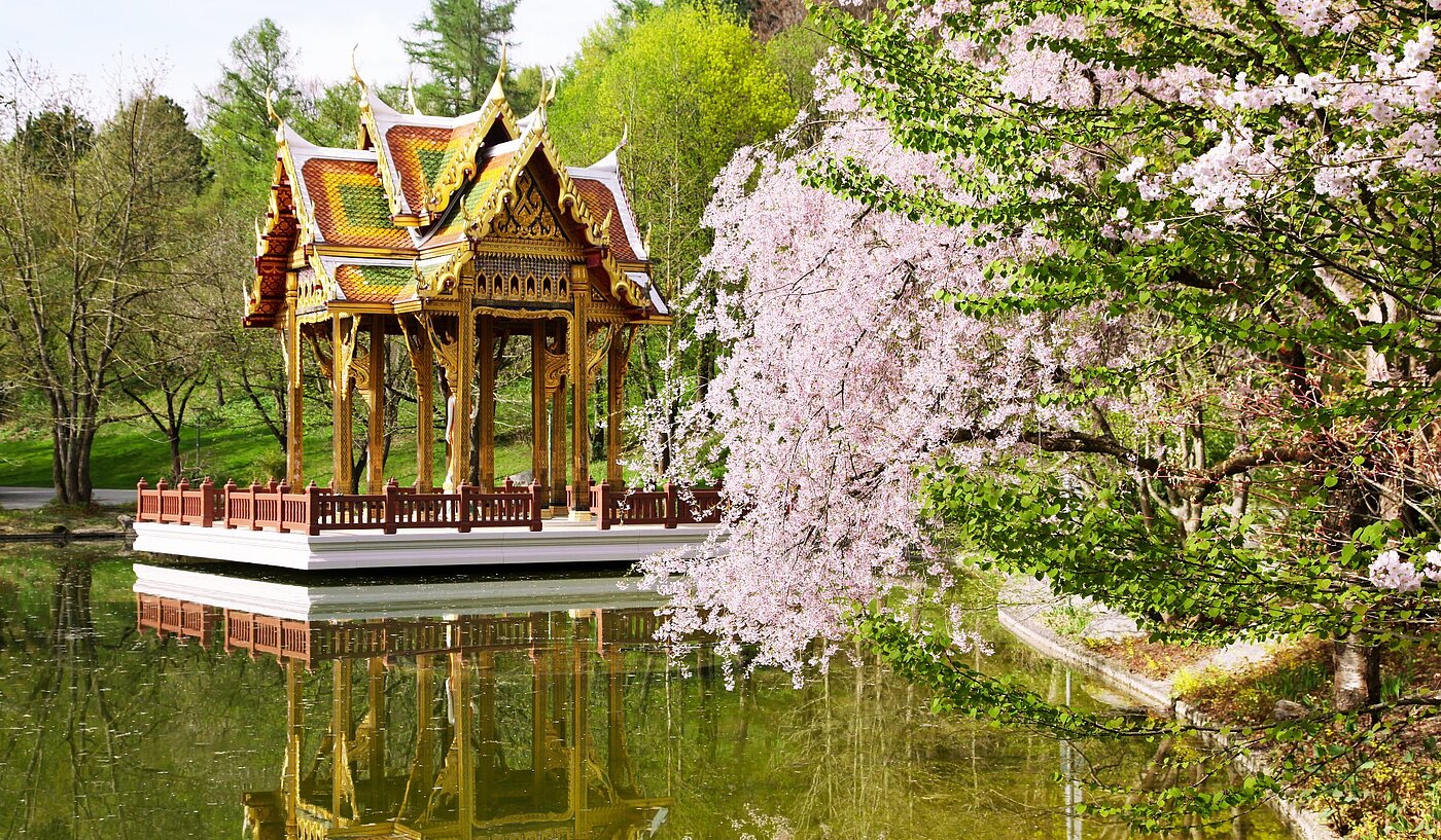 Flad med 1 Værelse | München-Sendling-Westpark | 2008ML1 | Japanischer Garten