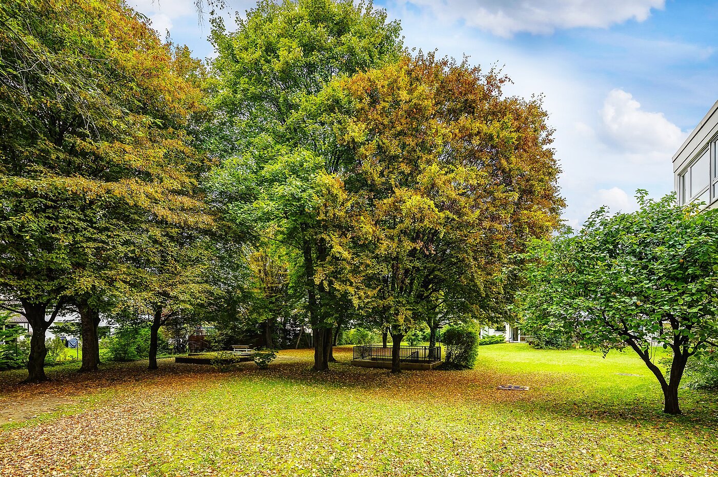 Плосък с 1 Стая | München-Solln | 2109ML4 | Viel Grün um´s Haus...