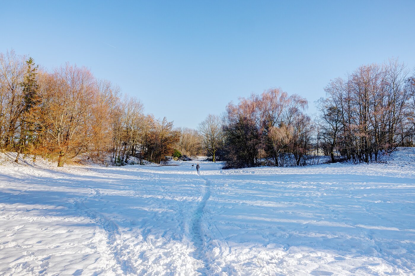 Επίπεδη με 1 Δωμάτιο | München | 70073 | Winterimpression