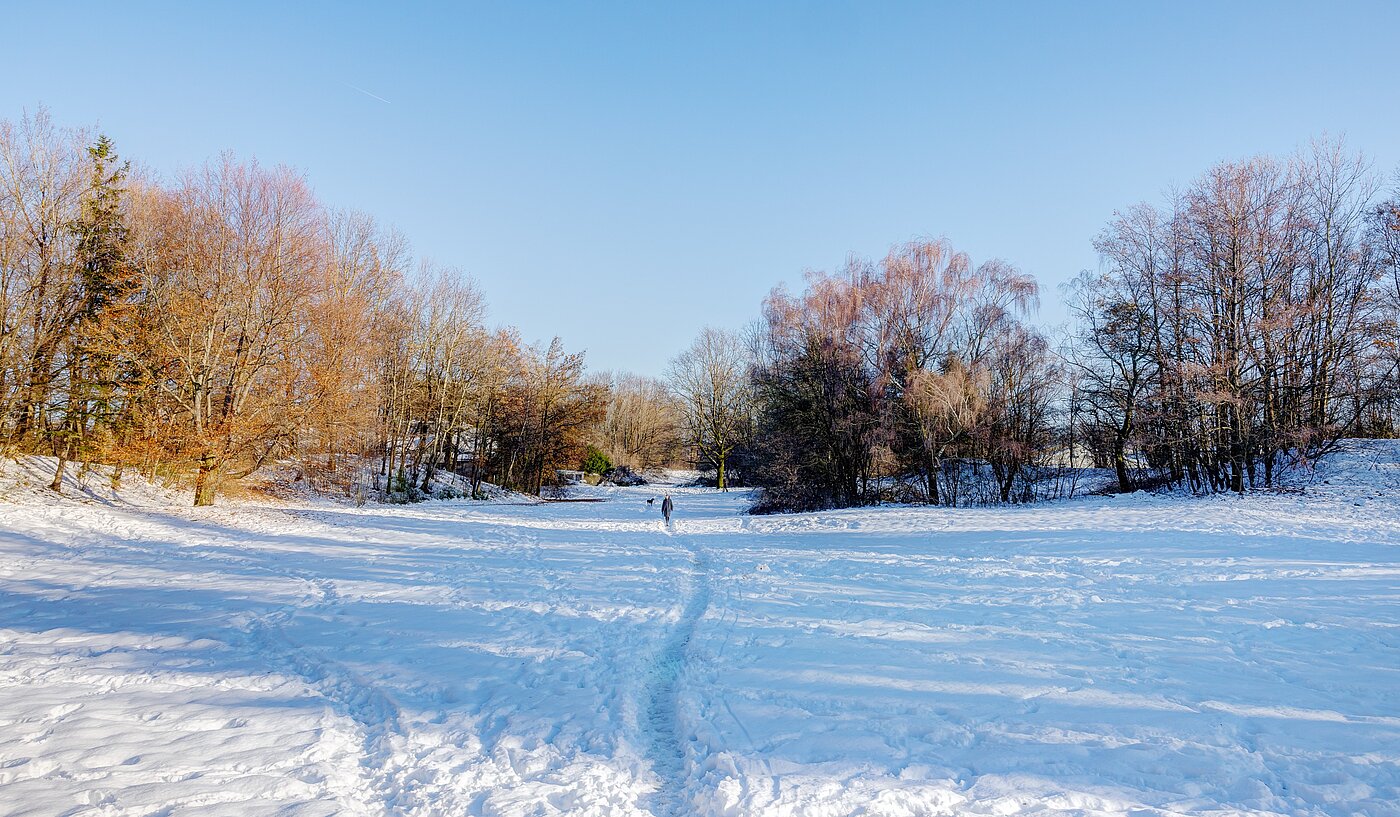 Ploché s 1 Izba | München | 70073 | Winterimpression