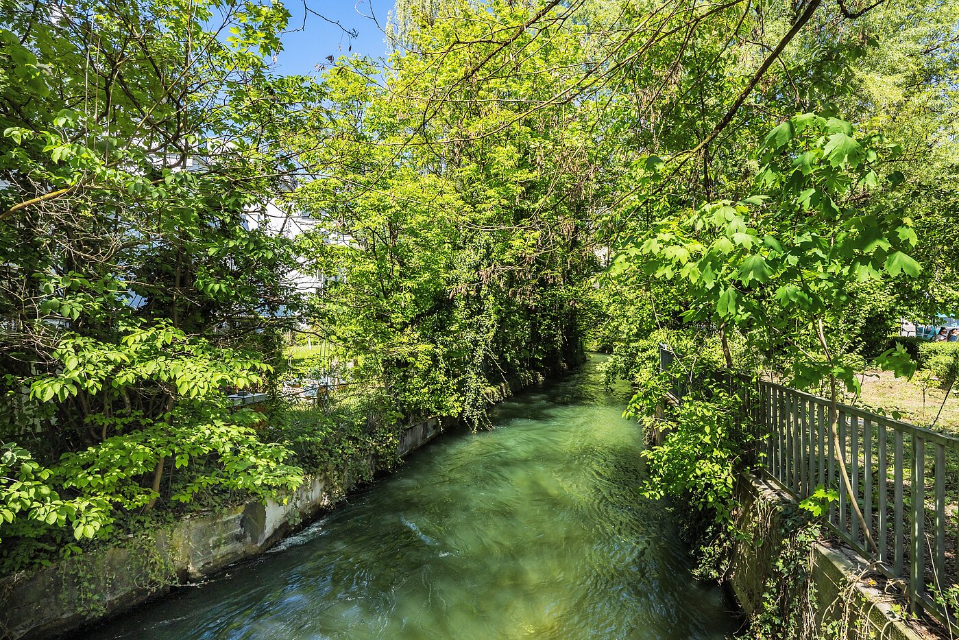 Płaski z 3 Pokoje | München-Au | 704231 | Umgebung