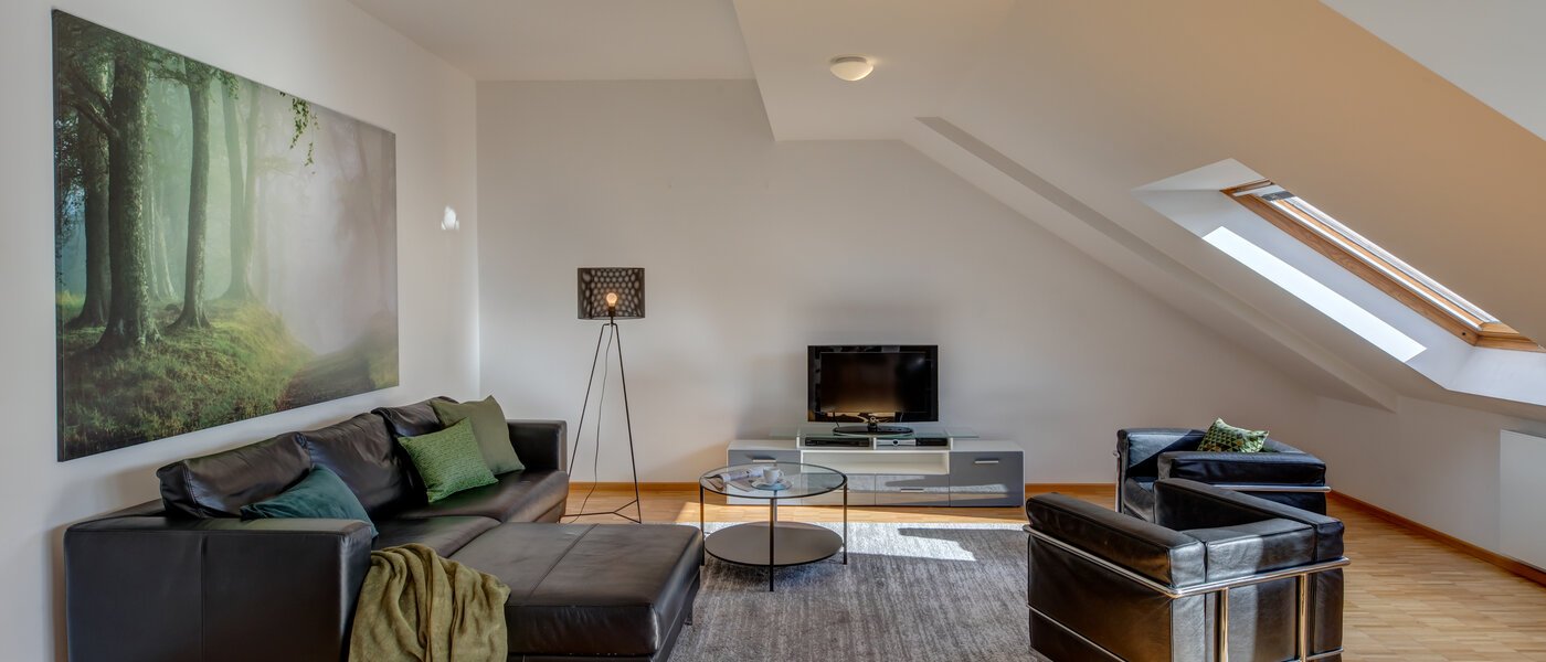 Апартамент с покривна тераса München Maxvorstadt - Museumsviertel 01 Дневна зона 1