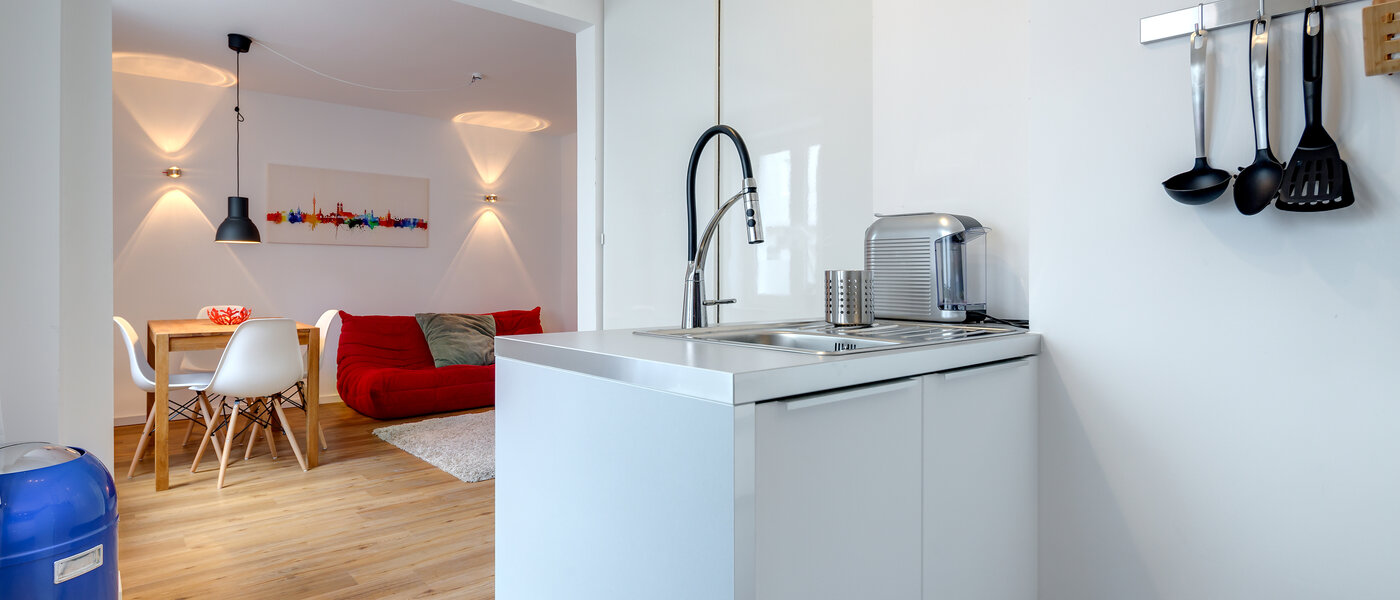 Ravna stran München Maxvorstadt - Universitätsviertel 03 Kuhinja 10155