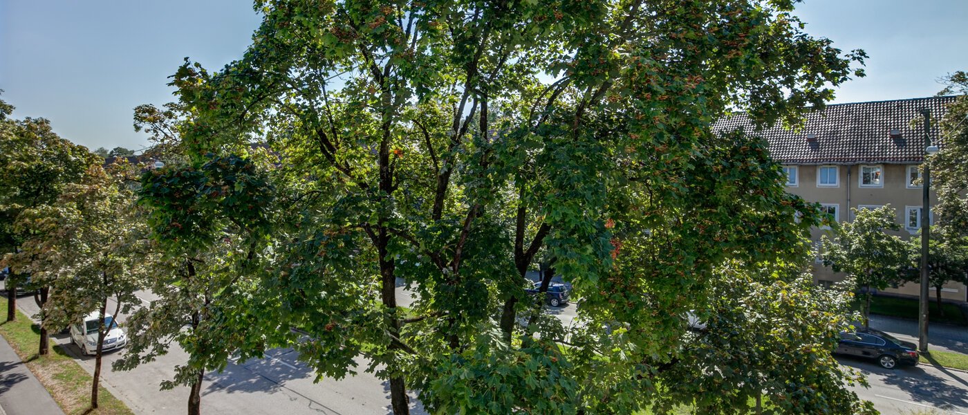 Plano München Westpark 05 Ver 10184