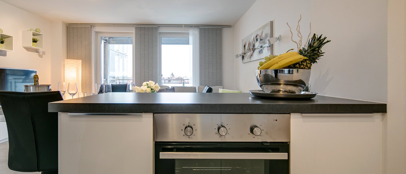 Ravna stran München Ludwigsvorstadt 04 Kuhinja 10286