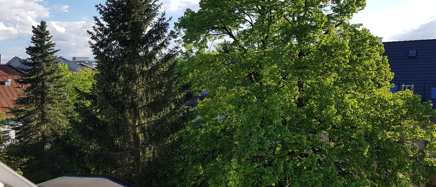 Loftslejlighed München Obersendling 06 Udsigt 10566