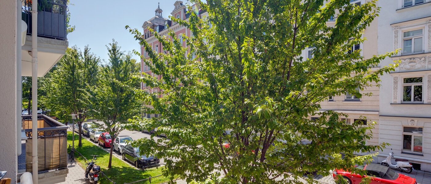 Επίπεδη München Haidhausen 03 Προβολή 10593