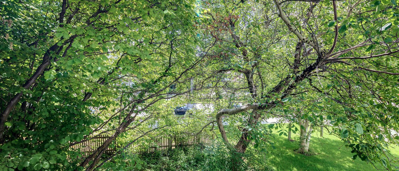 Ploché München Bogenhausen 02 Zobrazit 10643