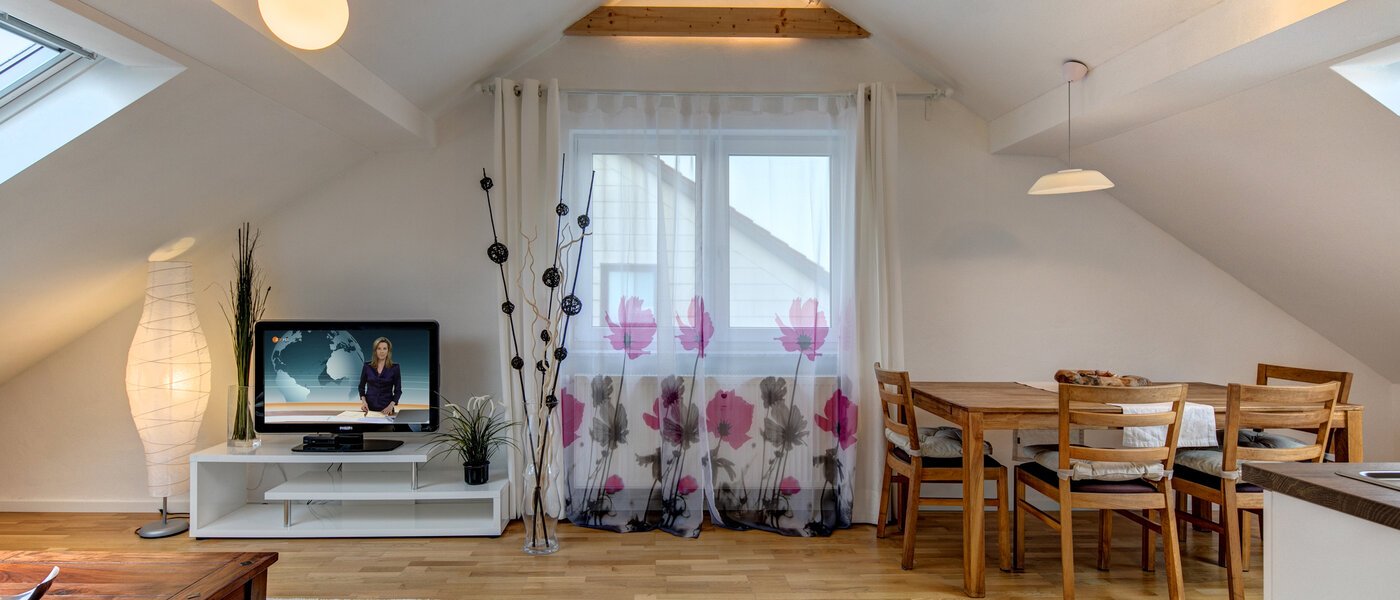 Таванско помещение Eching 04 Living 10655