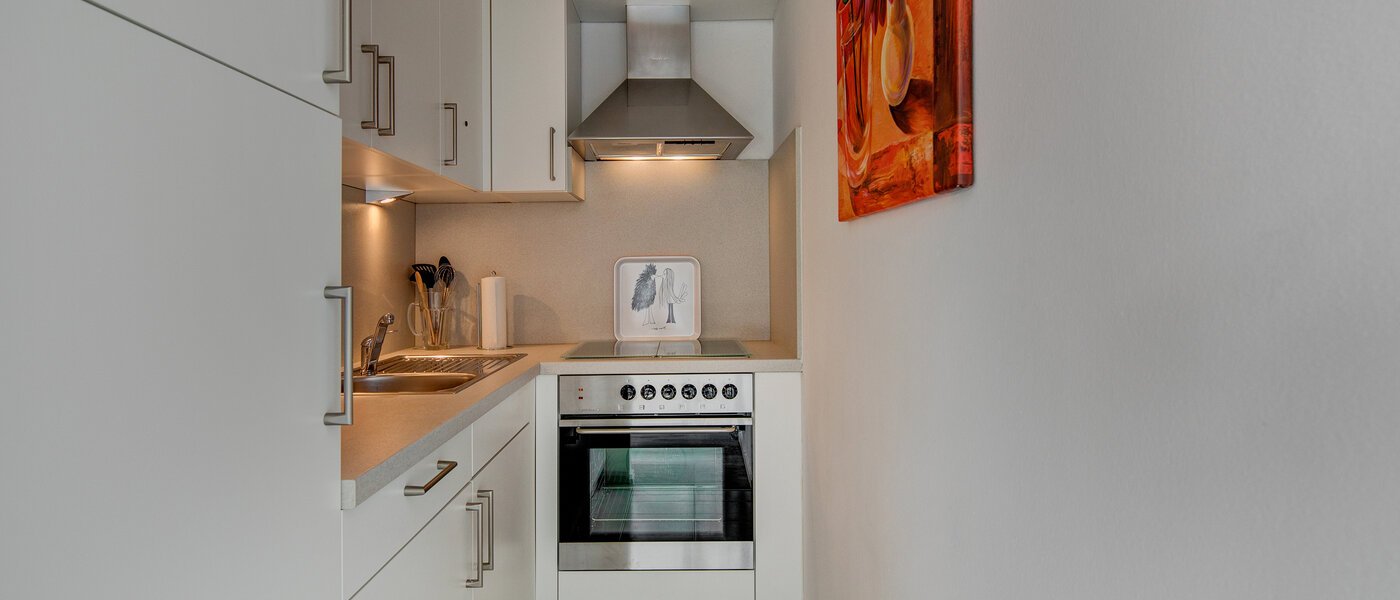 Επίπεδη München Nymphenburg 02 Κουζίνα 10722