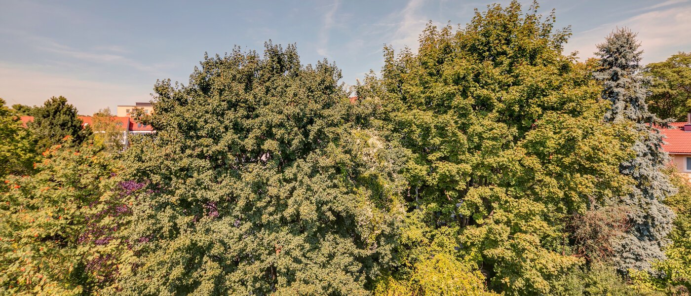 Plat München Ramersdorf 02 Vizualizare 10733