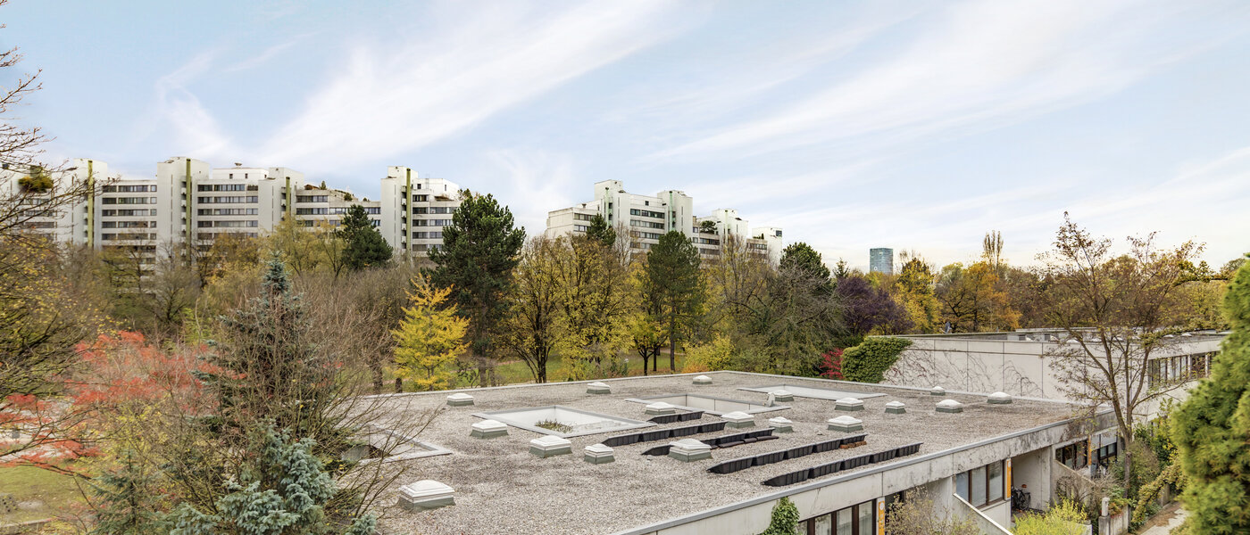 Lapos München Olympiadorf 03 A  megtekintése 10807