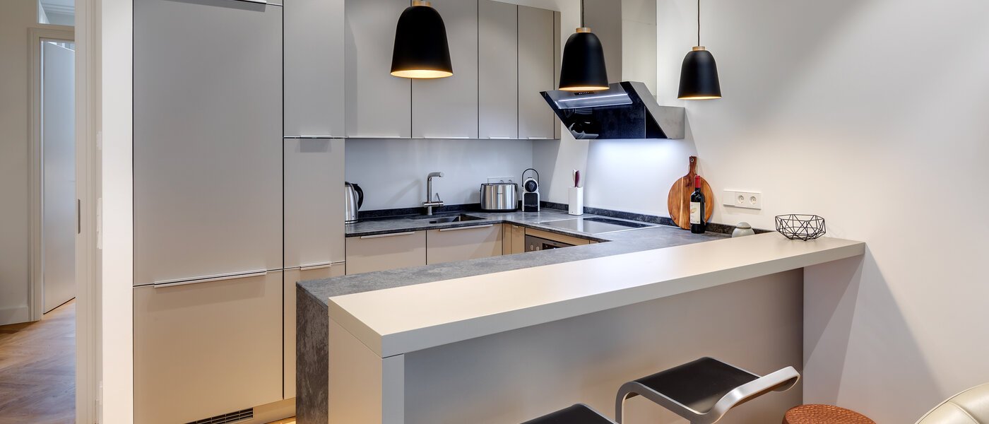 Plat München Maxvorstadt - Rund um den Josephplatz 01 Bucătărie 10848