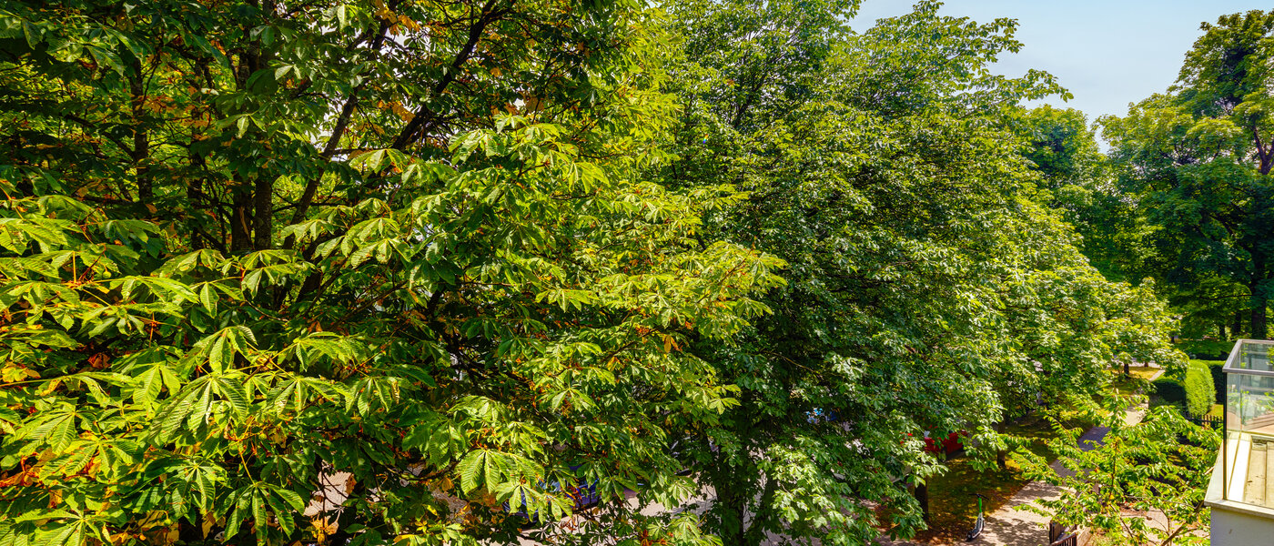 Plat München Nymphenburg 01 Bekijk 10849