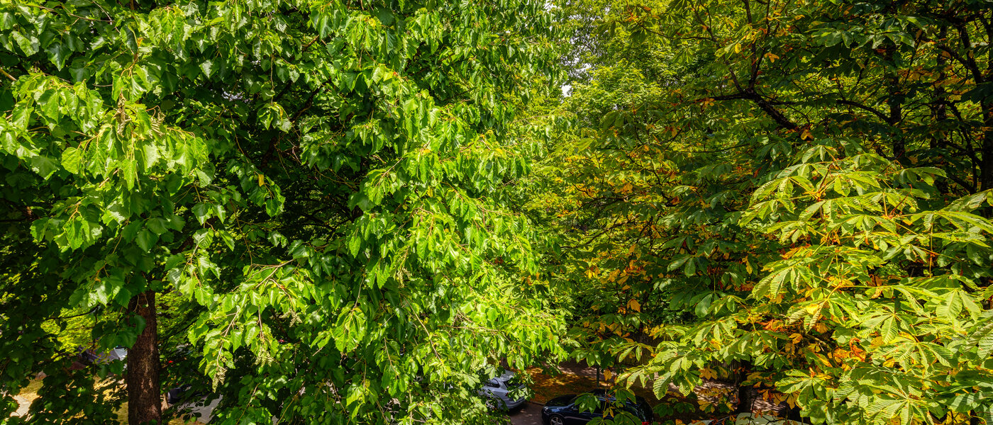 Plat München Nymphenburg 02 Bekijk 10849