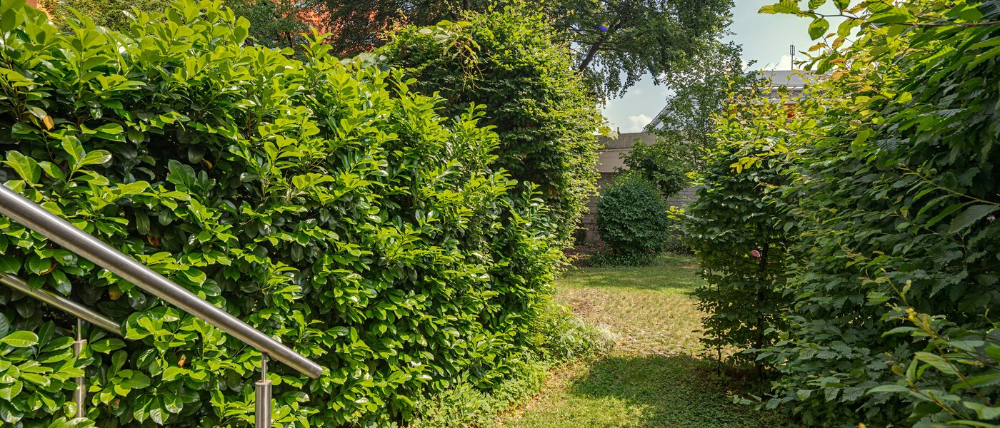 Lapos München Haidhausen 01 A  megtekintése 10914