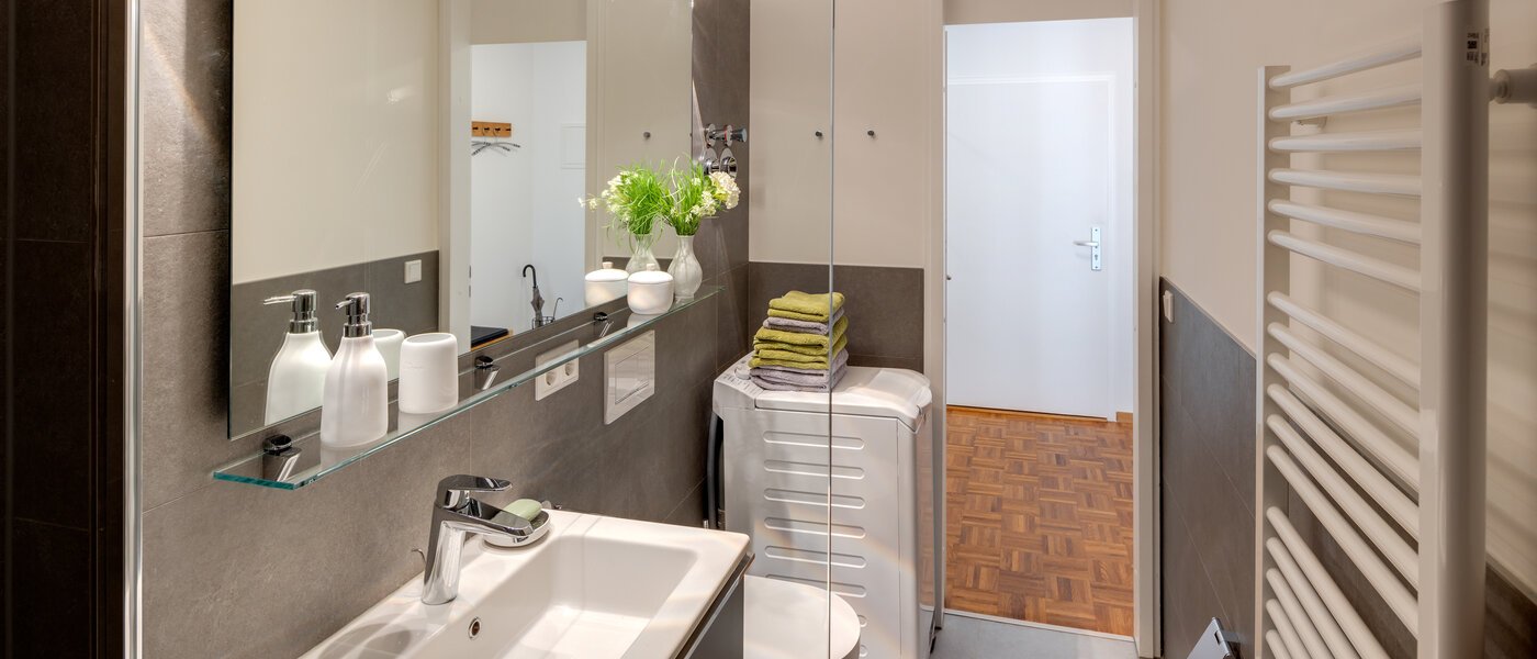 Ravna stran München Westpark 02 Kopalnica 10928