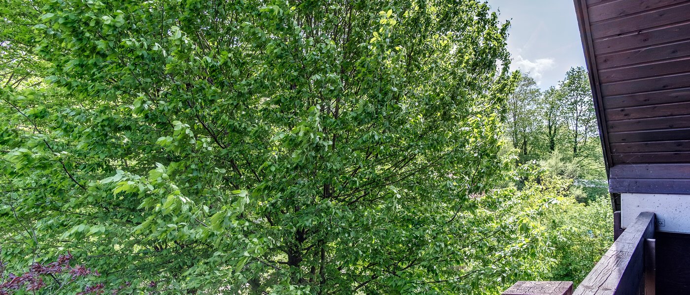 메조넷 플랫 München Oberföhring 05 보기 10997