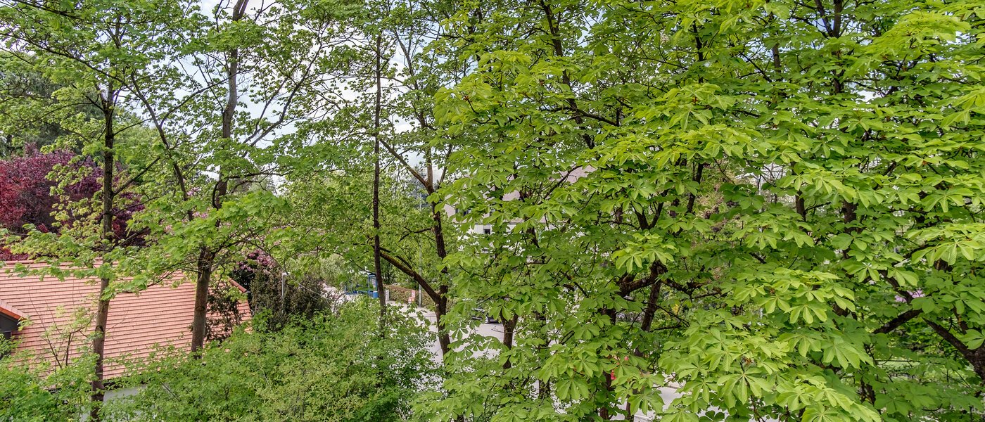 메조넷 플랫 München Oberföhring 07 보기 10997