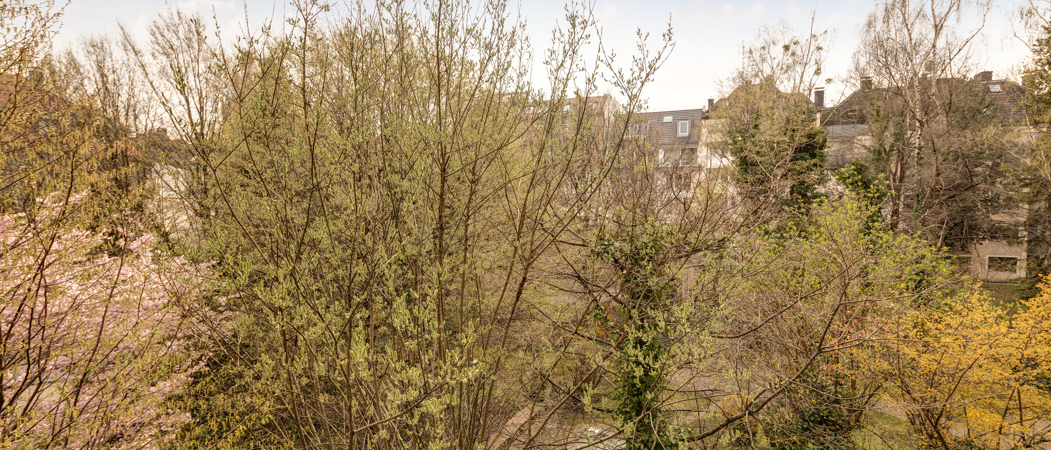 Mezonetno stanovanje München Schwabing-West (rund um den Hohenzollernplatz) 02 Oglejte si 11000