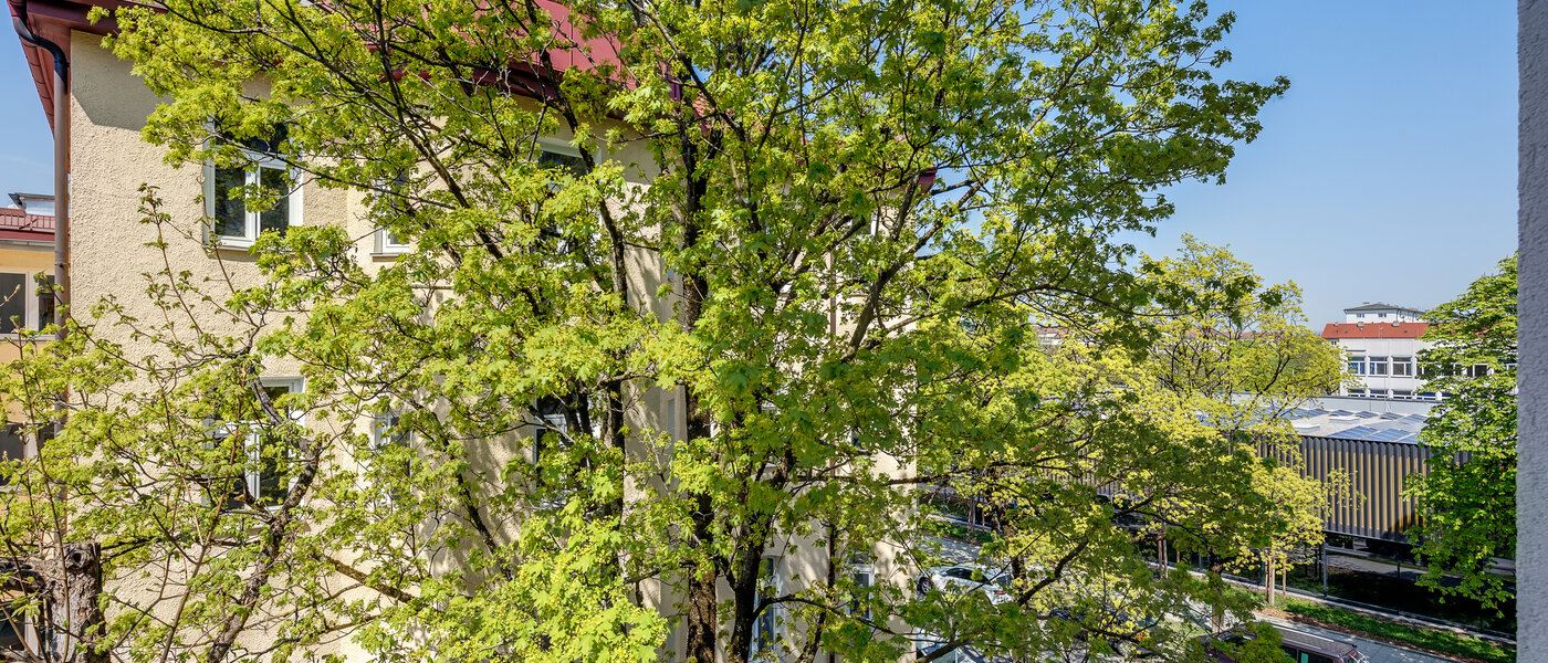 Плоский München Neuhausen 04 Вигляд 11009