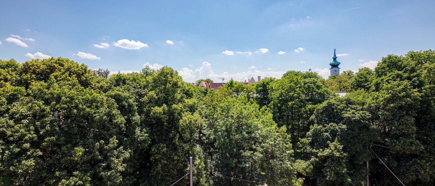 Tagterrasse-lejlighed München Bogenhausen 01 Udsigt 11076