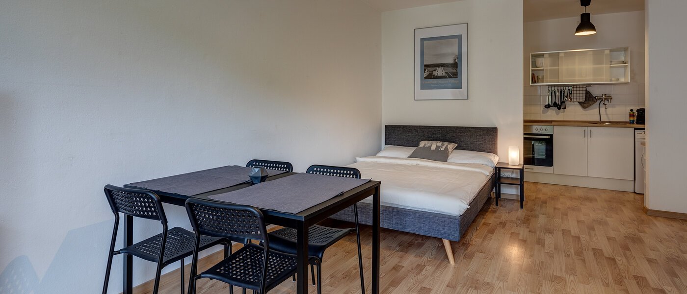 Flad München Maxvorstadt - Rund um den Josephplatz 04 Opholdsområde 11083