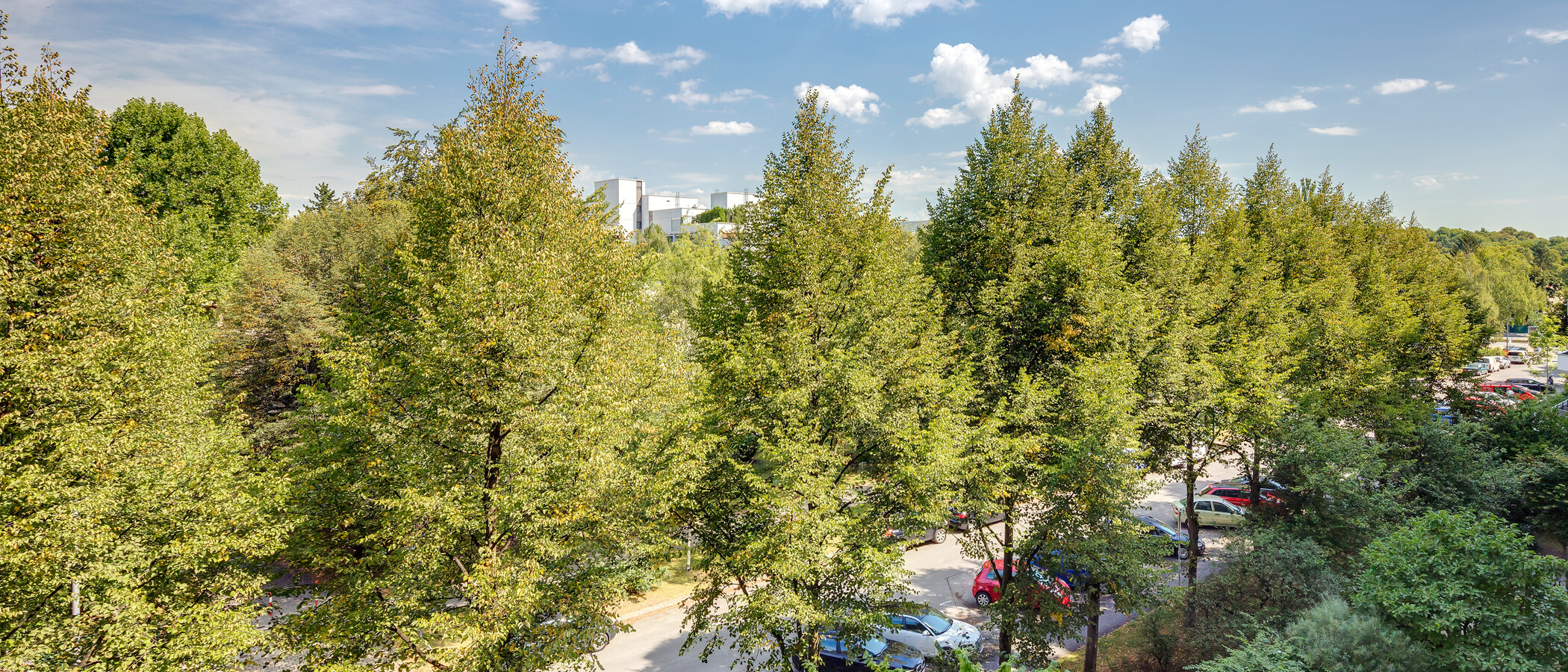 Düz München Schwabing-West 02 Görünüm 11193