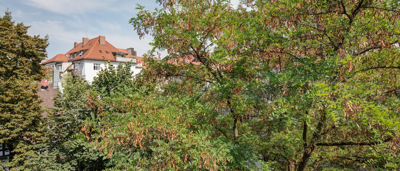 Lapos München Schwabing 01 A  megtekintése 11220