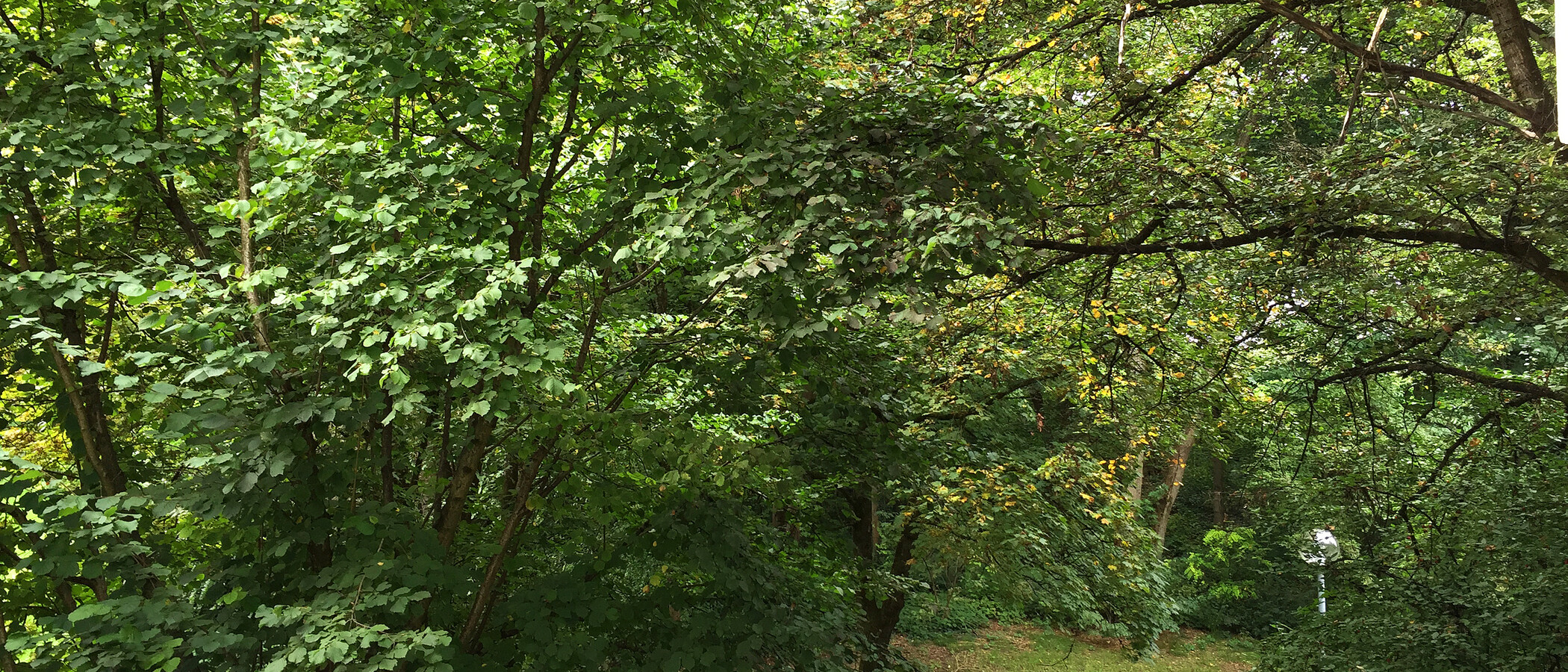 Flad München Schwabing-West 01 Udsigt 11238