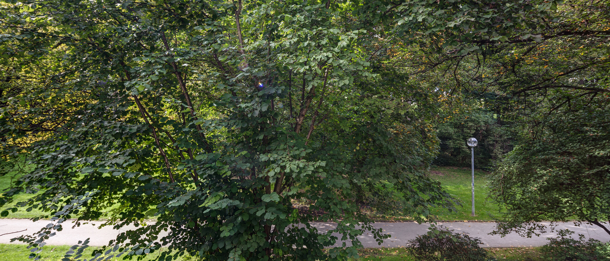 Flad München Schwabing-West 03 Udsigt 11238