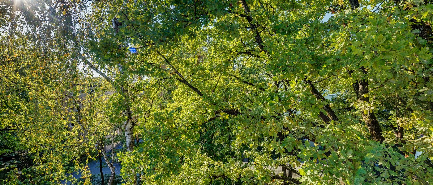 Flat München Parkstadt Bogenhausen 04 Utsikt 11256