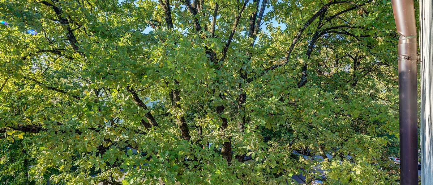 Flat München Parkstadt Bogenhausen 05 Utsikt 11256