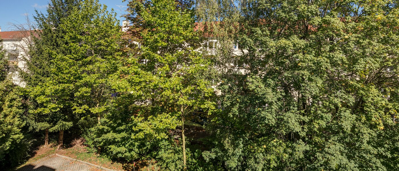 Płaski München Obergiesing 01 Widok 11258