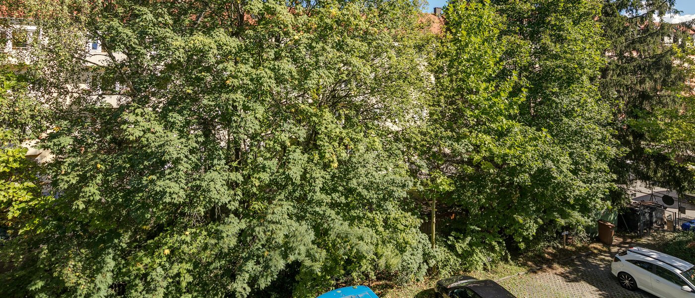 Płaski München Obergiesing 02 Widok 11258