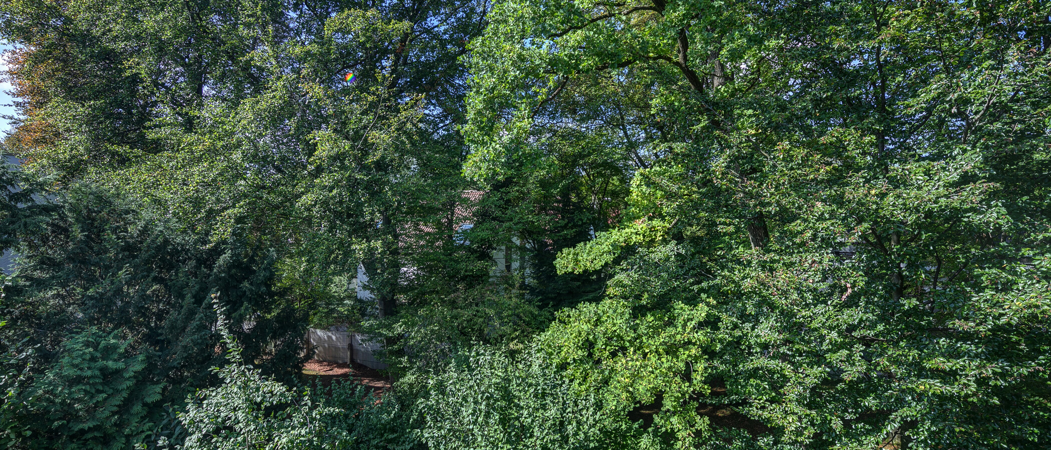 Çatı teraslı daire München Menterschwaige 03 Görünüm 11267