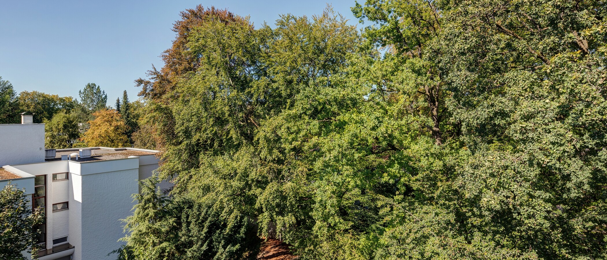 Tetőterasz lakás München Menterschwaige 06 A  megtekintése 11267