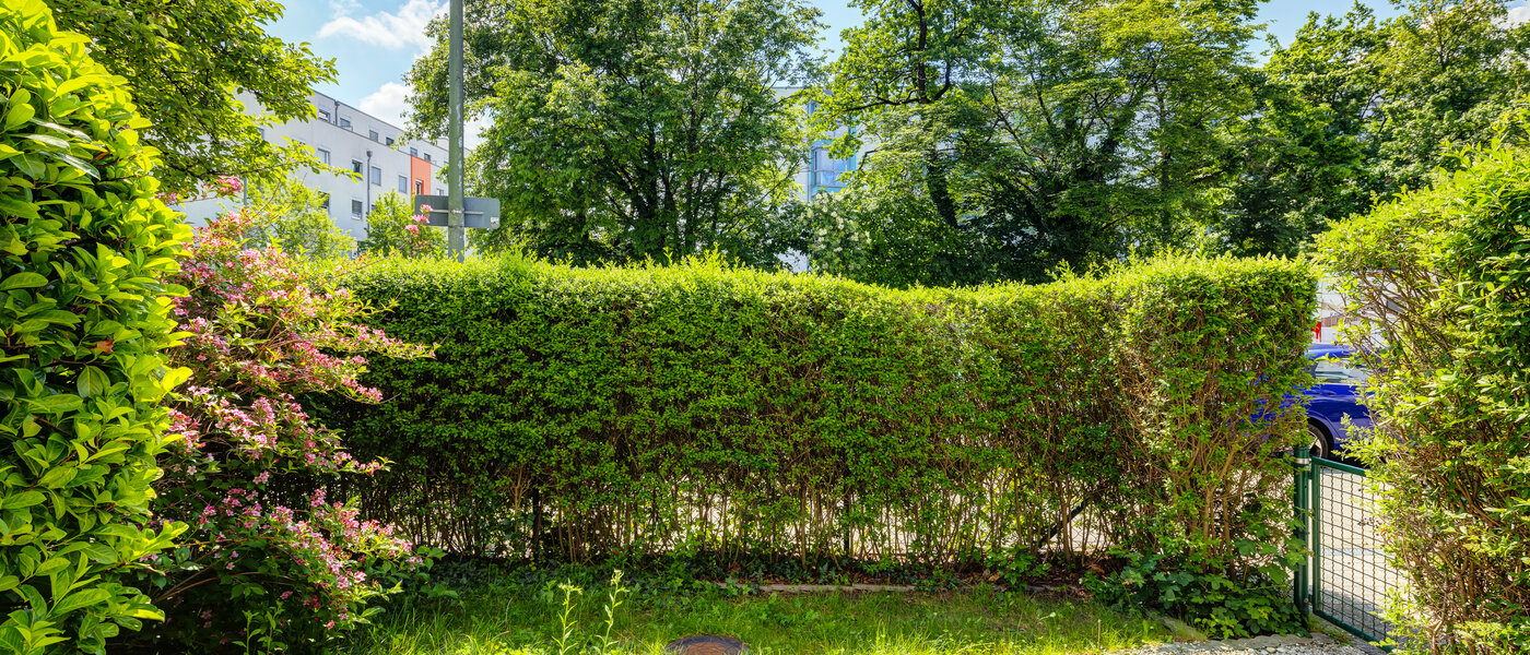 Ploché München Milbertshofen 01 Zahrada 11493