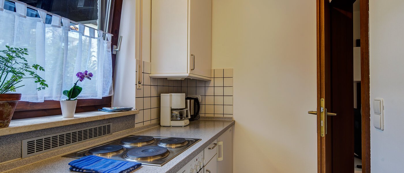 Плоский München Harlaching 02 Кухня 1155