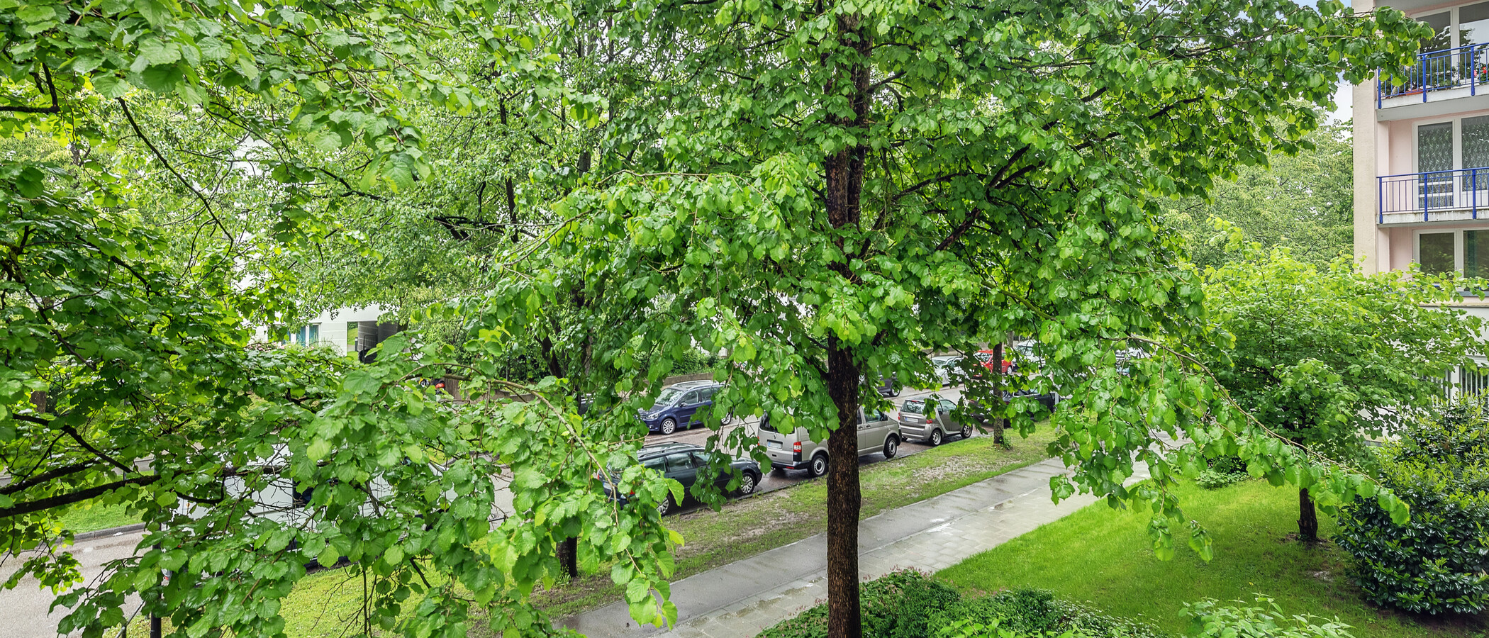 Düz München Oberföhring 04 Görünüm 11585