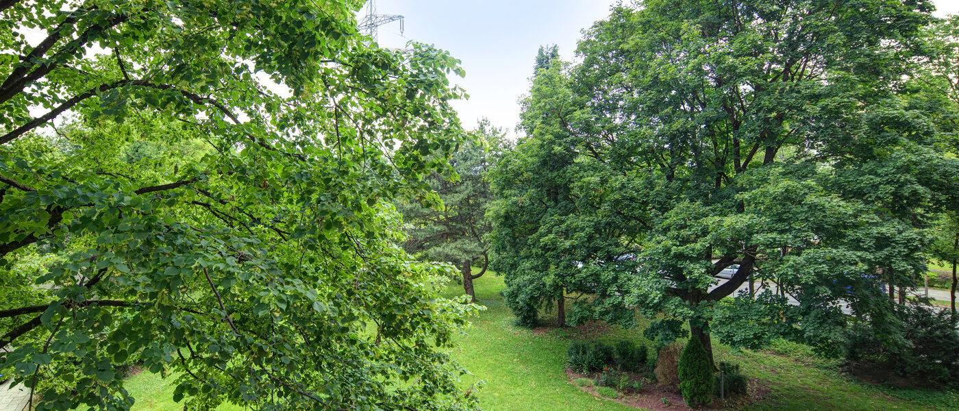 Ploché München Aubing 02 Zobrazit 11641