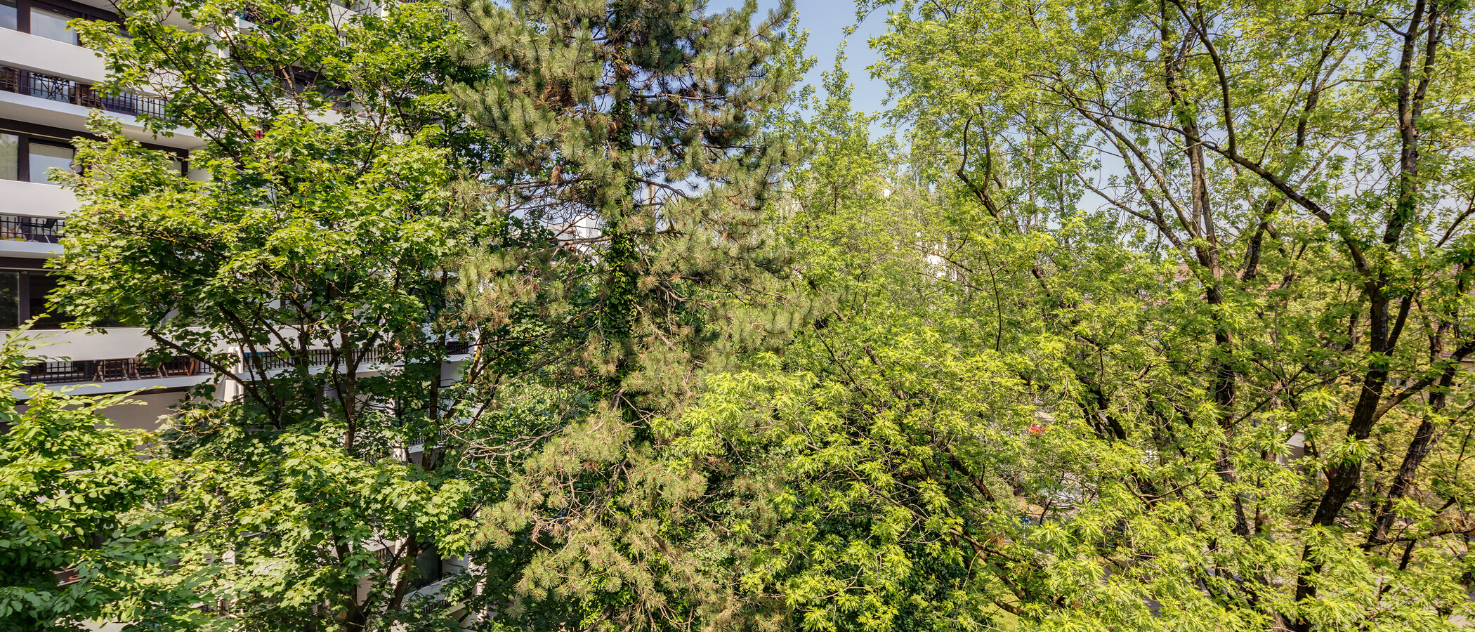 Lapos München Milbertshofen 03 A  megtekintése 11650