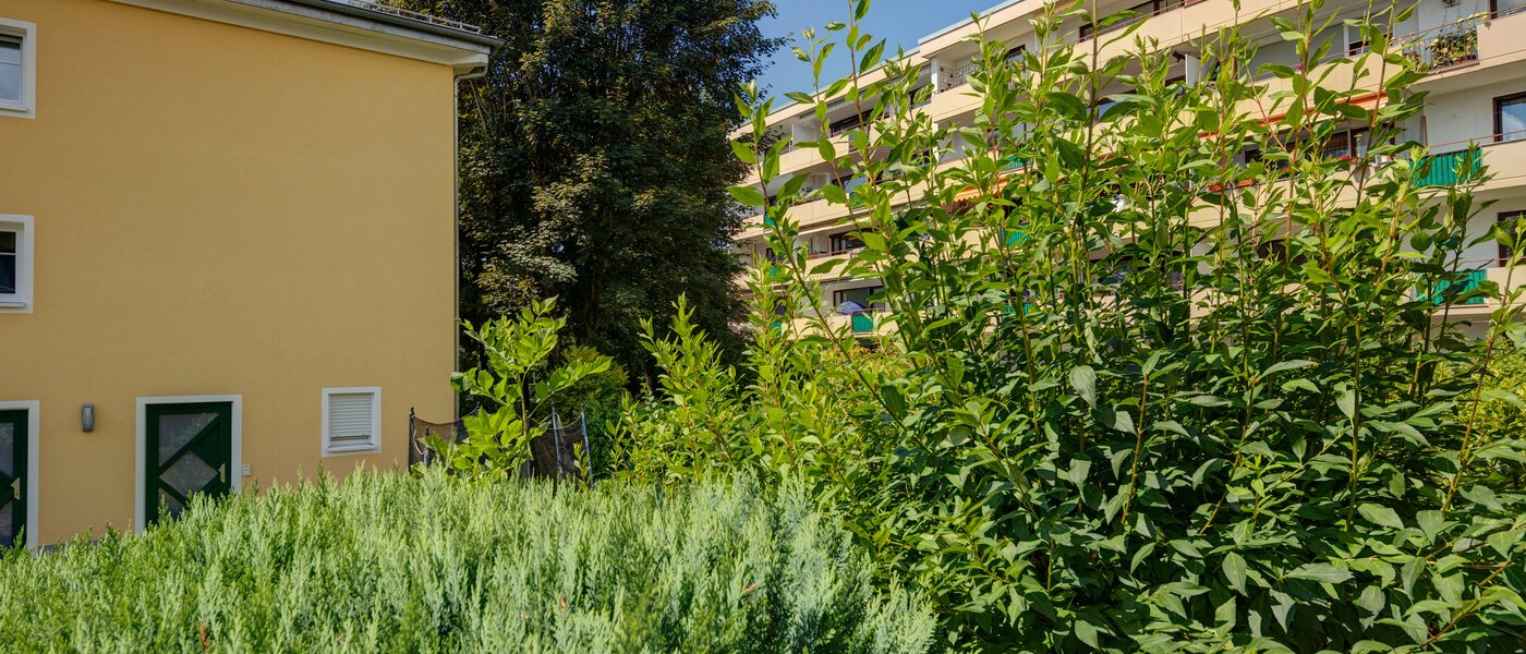 Ploché Gauting 03 Zobraziť 11690