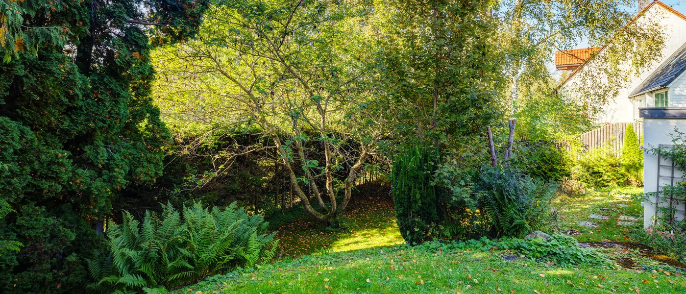 가든 플랫 Feldafing 02 정원 11698